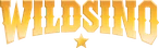 Wildsino Casino logo with a gold star